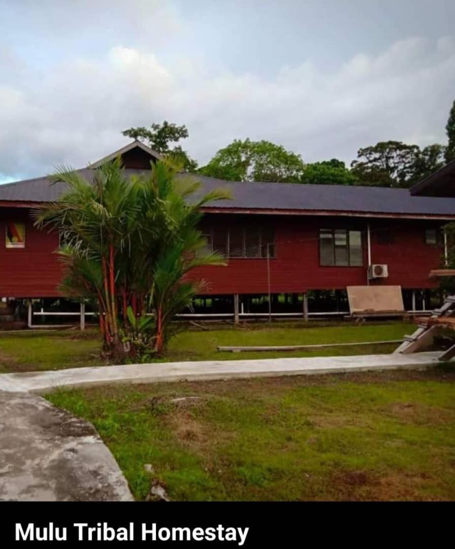 Mulu Tribal Homestay Екстериор снимка