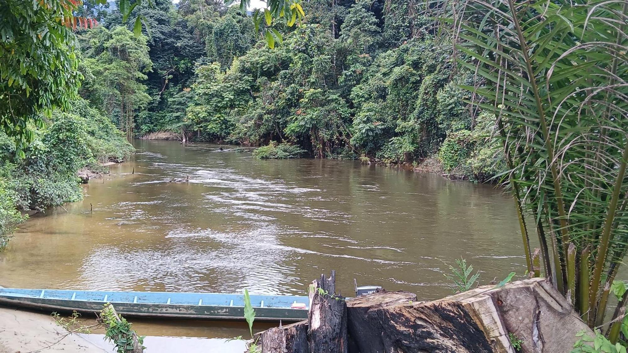 Mulu Tribal Homestay Екстериор снимка